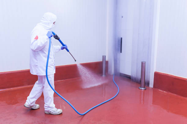 Best Solar Panel Cleaning  in Greenville, NY